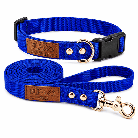 Set de collar y correa azul de nylon con placas de cuero marrón y herrajes dorados, accesorios imprescindibles para pasear