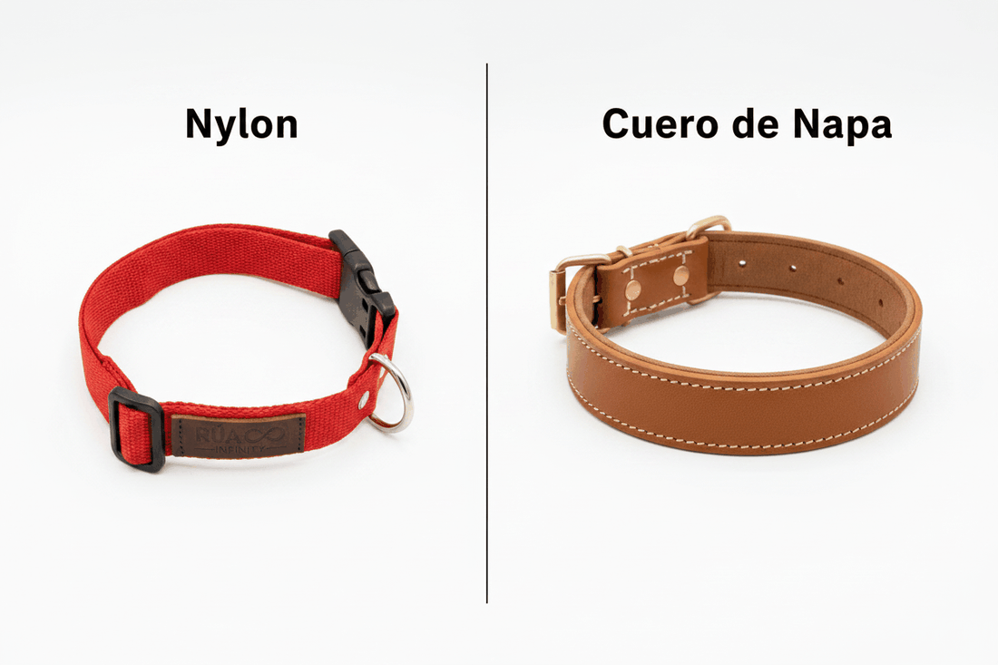 Collar de cuero color marrón de napa, con costuras blancas y hebilla metálica, junto a un collar rojo de nylon.