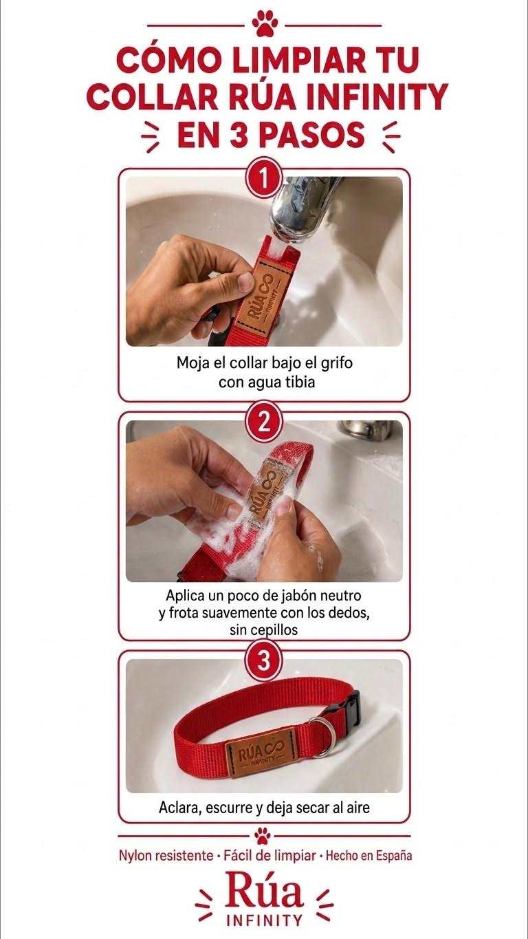 collar de nylon para perro rojo mostrado en tres pasos de limpieza, con hebilla metálica y secado al aire