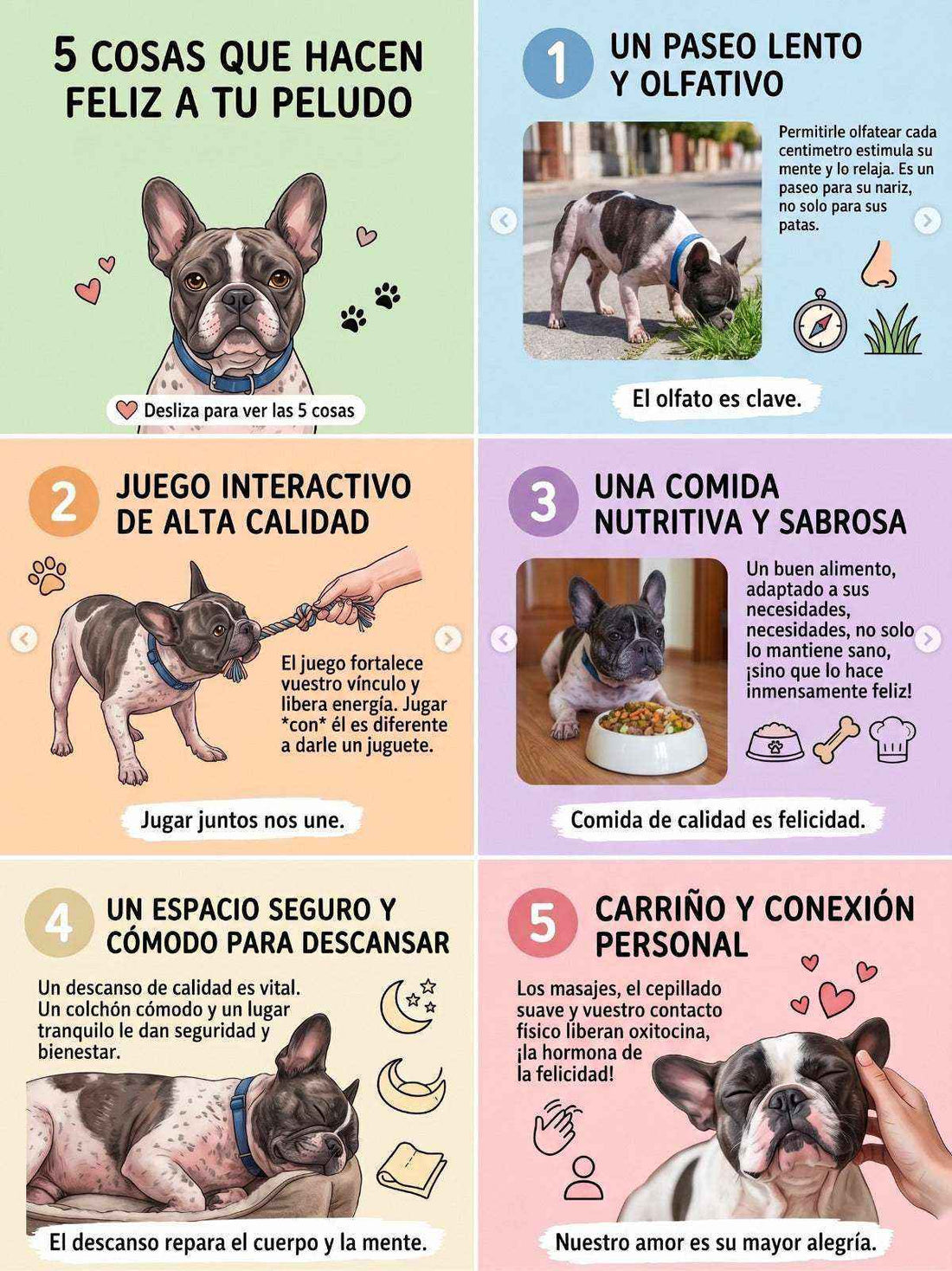 Infografía sobre estimulación mental y bienestar canino, con un bulldog ilustrado y cinco consejos de cuidado, juego y descanso