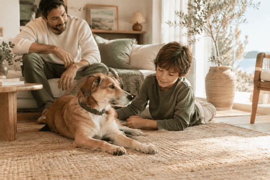 Perro para una familia con niños: perro mestizo de pelaje corto marrón y blanco, con collar oscuro, junto a un niño.