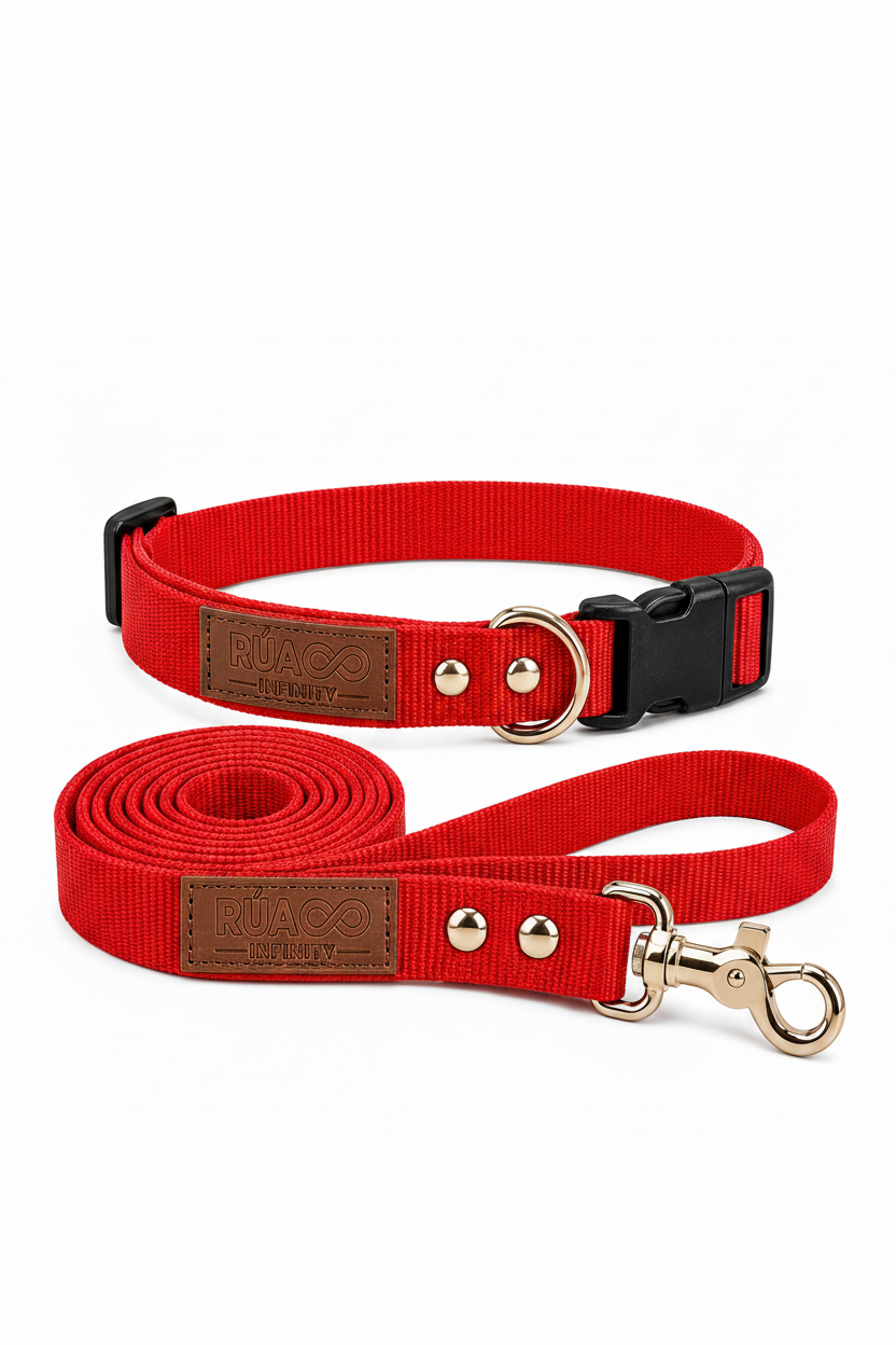 Guía de tallas de collares para perros: cómo medir a tu mascota