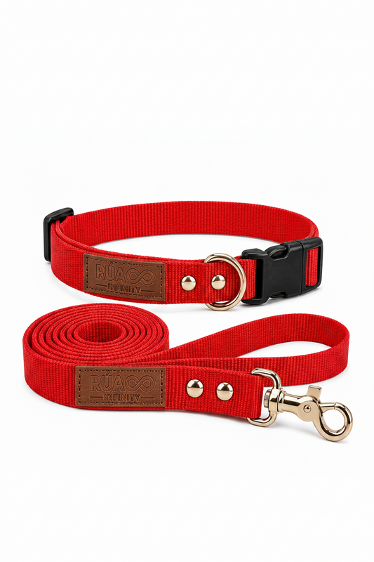 Guía de tallas de collares para perros: cómo medir a tu mascota