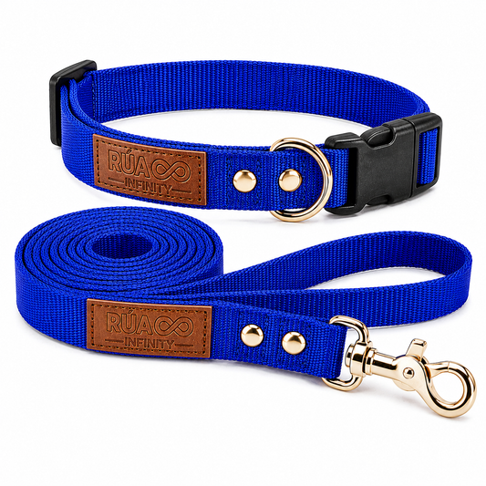 Los mejores accesorios para pasear a tu perro con estilo
