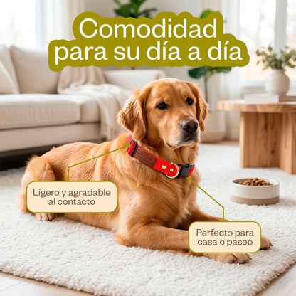 Rúa Infinity Collar Nylon Ligero para Perros Talla M – Rojo
