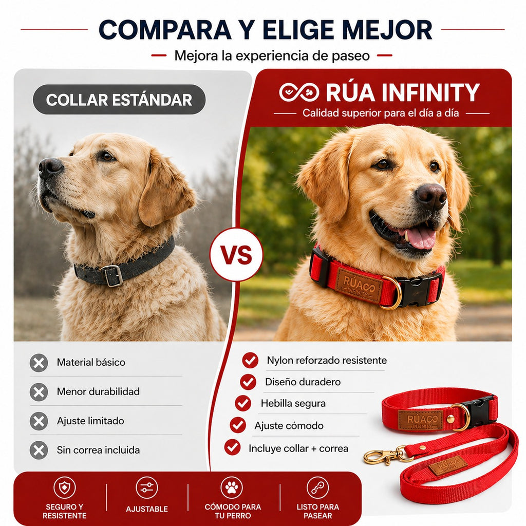 Conjunto de Paseo para Perros: Collar y Correa Premium | RÚA INFINITY