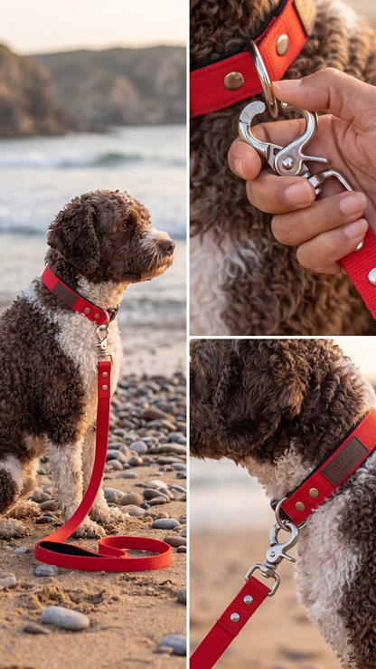 Rúa Infinity Collar Nylon Ligero para Perros Talla M – Rojo