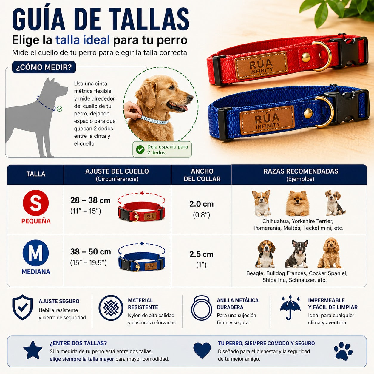Conjunto Collar+ Correa  perro Nylon