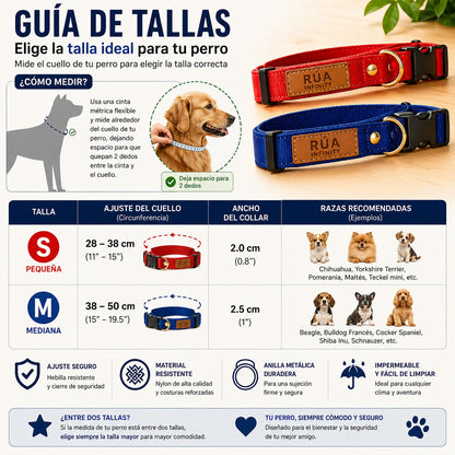 Conjunto Collar+ Correa  perro Nylon