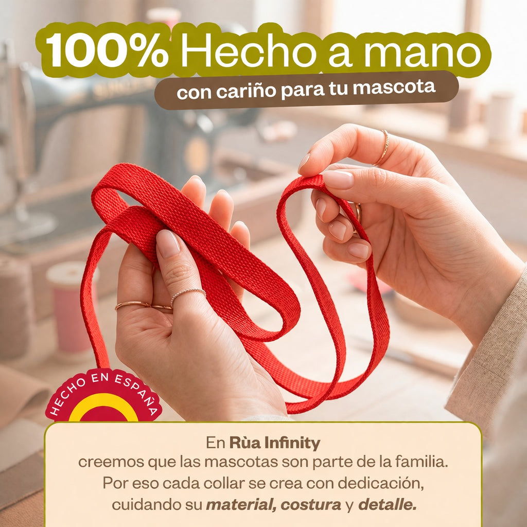Conjunto de Paseo para Perros: Collar y Correa Premium | RÚA INFINITY