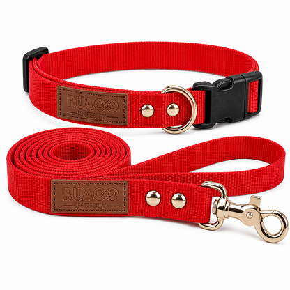 Conjunto Collar+ Correa perro Nylon