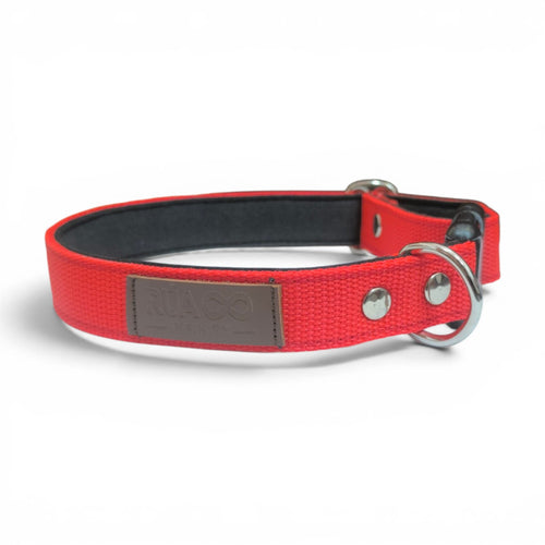 Collar Acolchado para Perros Talla M - Máxima Comodidad | RÚA INFINITY