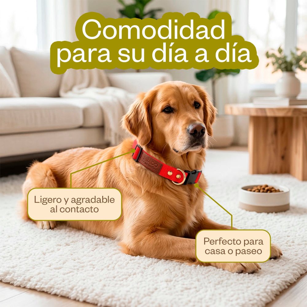 Collar para perro rojo de nylon con hebilla negra, herrajes metálicos y etiqueta de piel grabada, ligero y cómodo.