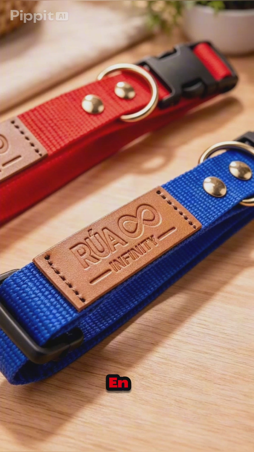 Conjunto de Paseo para Perros: Collar y Correa Premium | RÚA INFINITY
